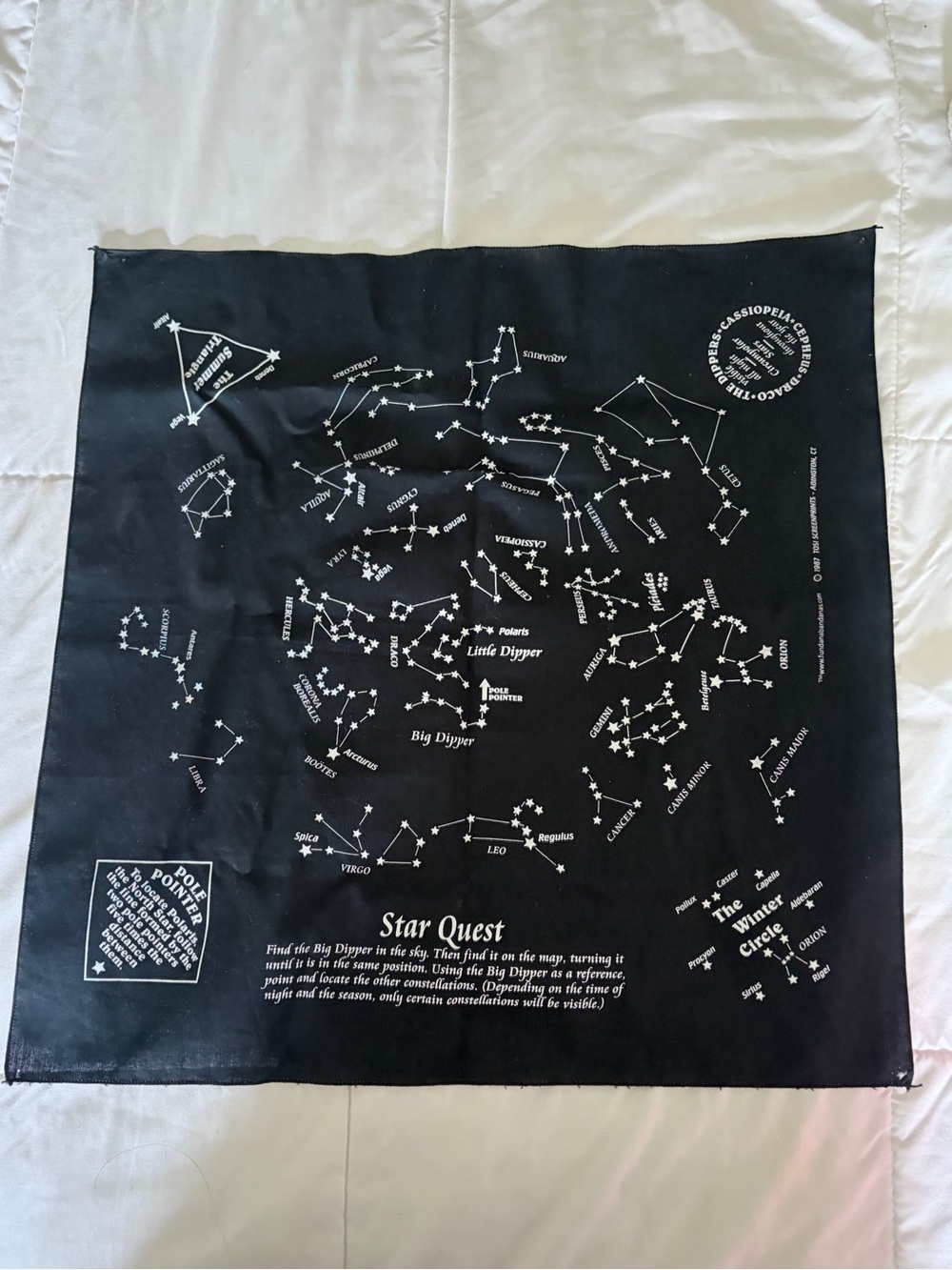 Star Quest Constellation Tapestry - Black